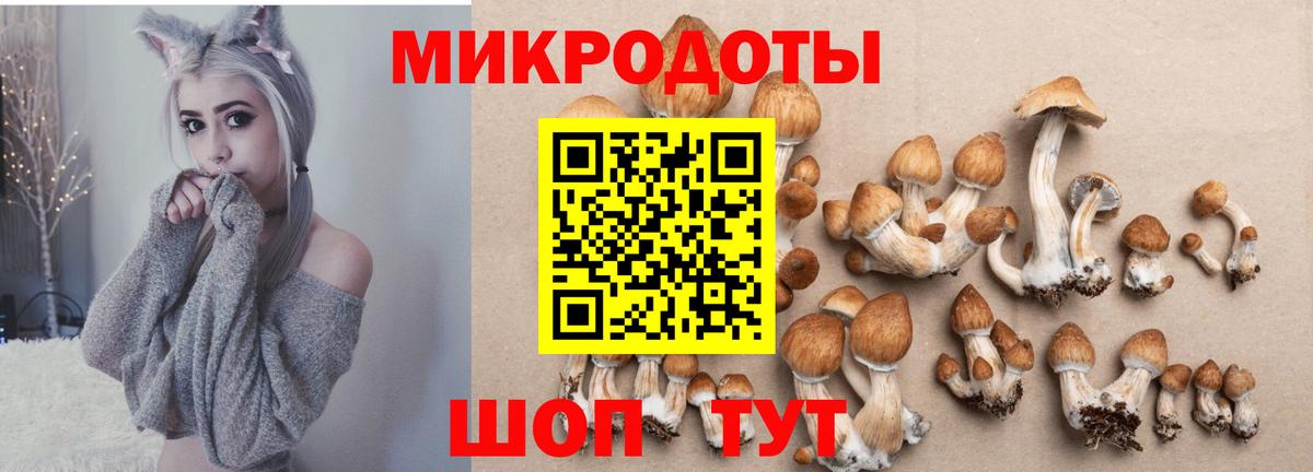 Галлюциногенные грибы Psilocybe Азнакаево
