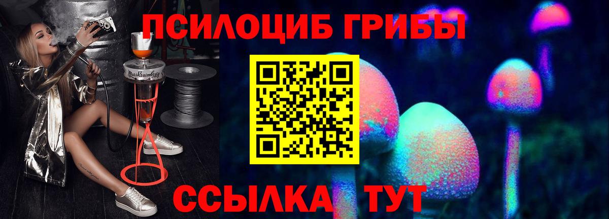 Азнакаево  Псилоцибиновые грибы прущие грибы  Галлюциногенные грибы GOLDEN TEACHER  Вход с VPN 